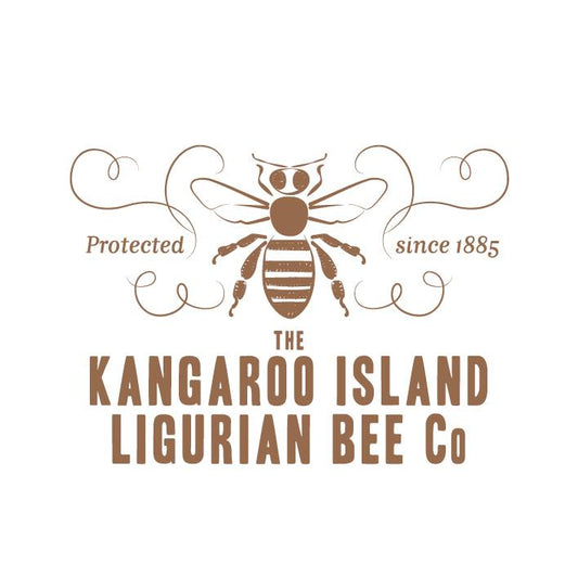 Premium Raw Honey 300gm by the Kangaroo Island Ligurian Bee Co