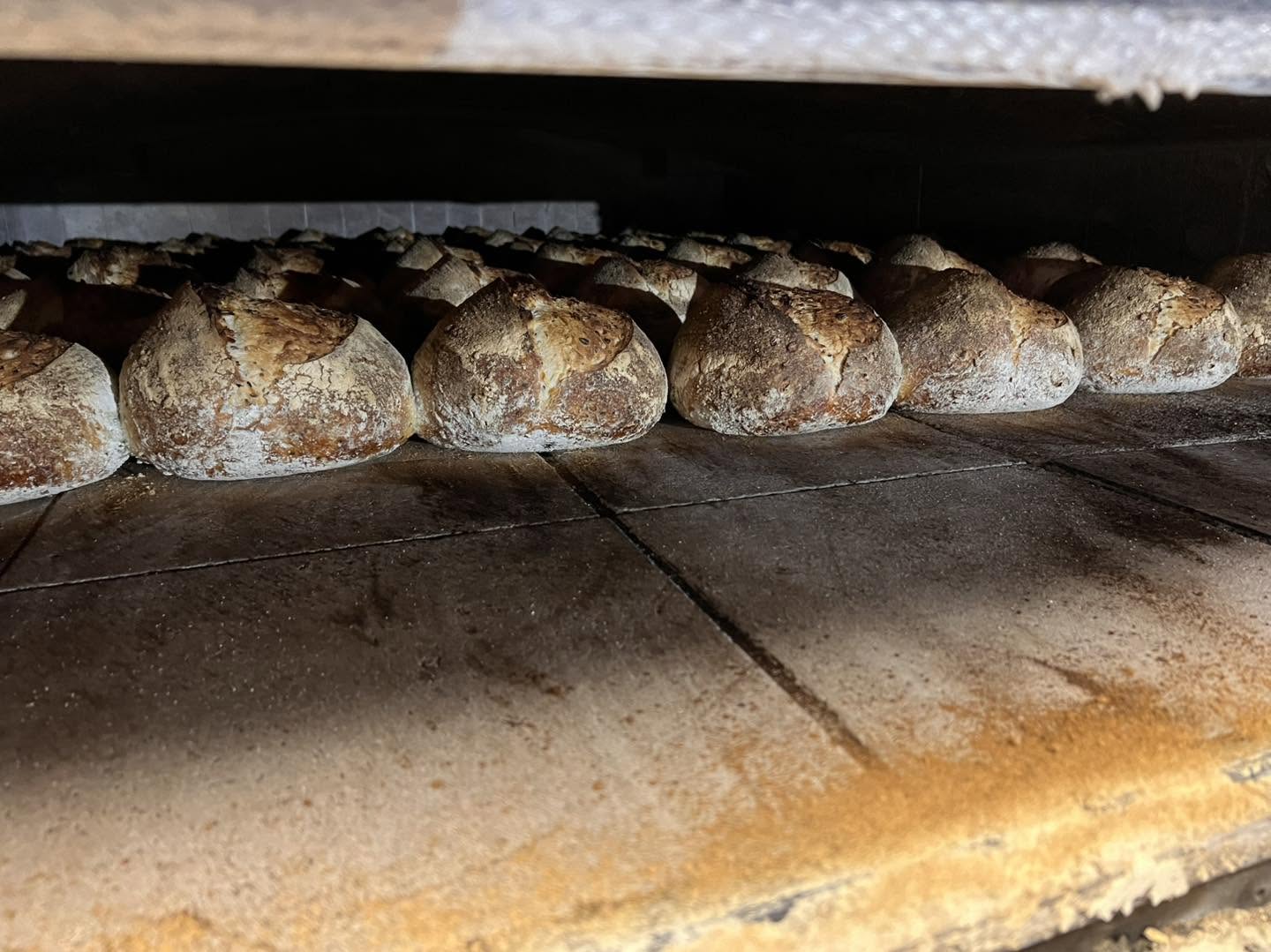 Fresh Sourdough Bread: SATURDAY PICK UP ONLY on the day before 1pm please
